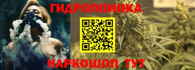 прущие крисы Гагарин