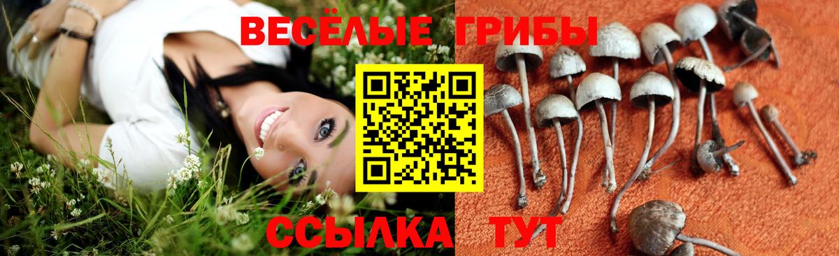 Галлюциногенные грибы мицелий Дятьково