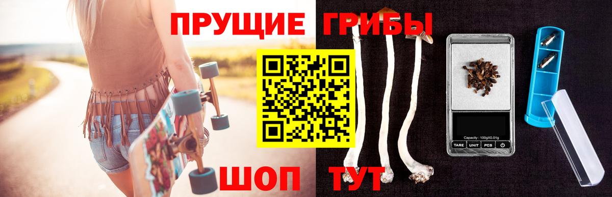 Дятьково  Галлюциногенные грибы ЛСД  Псилоцибиновые грибы ЛСД  Вход с VPN 